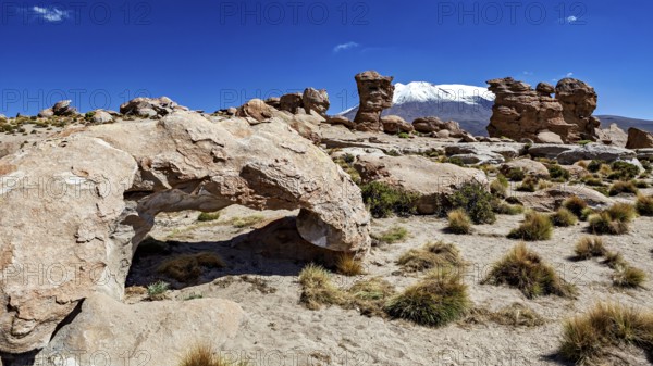 Desert landscape with stone arch and snow-covered mountain in the background under bright blue sky,