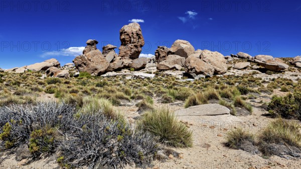 Dry landscape with tall grass and impressive rock formation under a cloudless sky, The landscape of