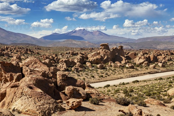 Arid landscape with distinctive rocks, a desert road and mountain backdrop under a cloudy sky, The