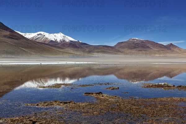 A calm lake reflects snow-capped mountains surrounded by desert-like, open spaces under a clear