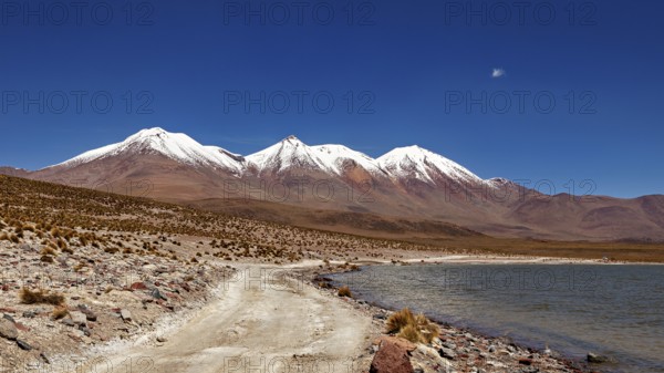 A snow-capped mountain towers over a lake with a desert road that snakes through the barren