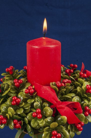 Red burning Christmas candle on bed of green boxwood with red berries