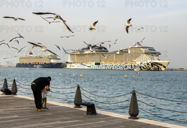 Mina District across from the cruise terminal, locals and tourists feed the seagulls, Doha, United