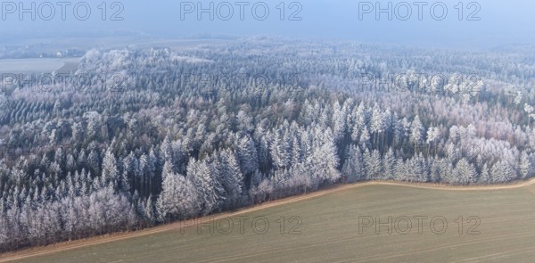 Winter forest aerial view of a mixed forest with spruces, pines, birches and beech trees covered