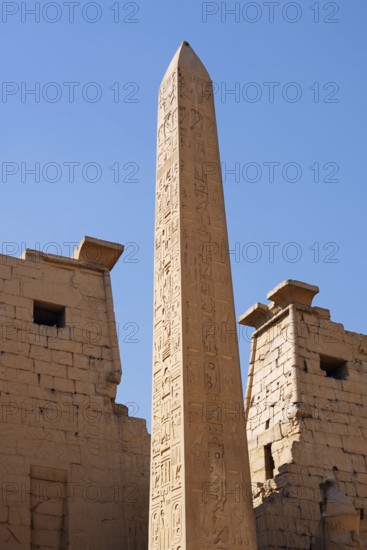Obelisk of Ramesses II, Luxor Temple, Luxor, Egypt