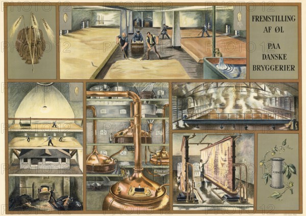 Traditional craft, beer production in a brewery in Denmark, 1930, illustration, reproduction from a