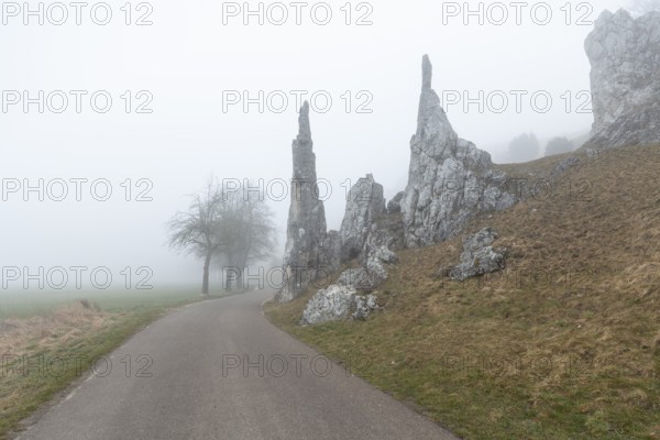 Spring 2026: Mystic morning fog surrounding the Stone Virgins (Steinerne Jungfrauen) rock formation
