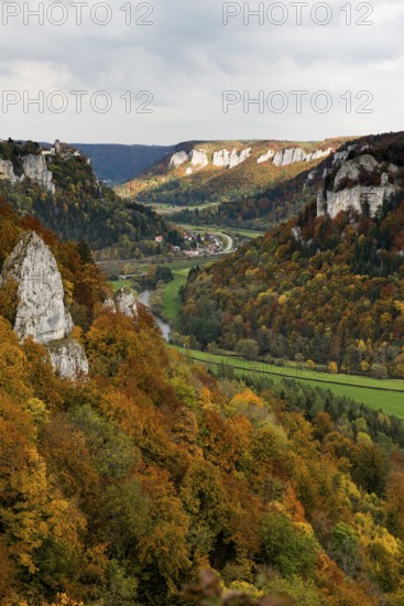 Autumnal forest and Werenwag Castle, Eichfelsen viewpoint, near Irndorf, Upper Danube nature park