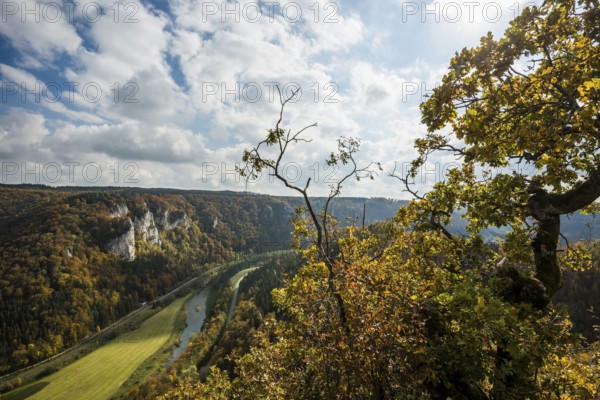 Autumnal forest, Rauher Stein viewpoint, near Leibertingen, Upper Danube nature park Park, Upper