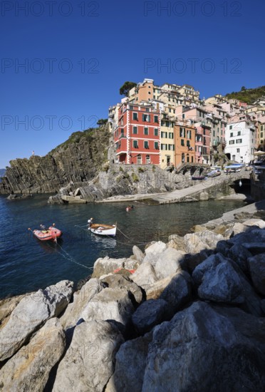 Colourful houses under blue sky, view of the fishing village of Riomaggiore, boats in the harbour,