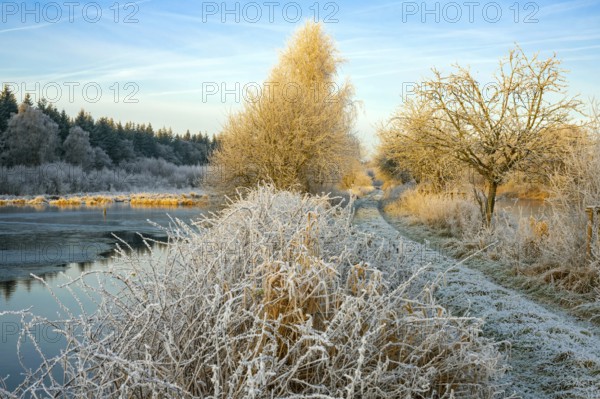 Winter hoarfrost at Ahlhorn fish ponds, Ahlhorn fish ponds, Ahlhorn, Lower Saxony, Germany