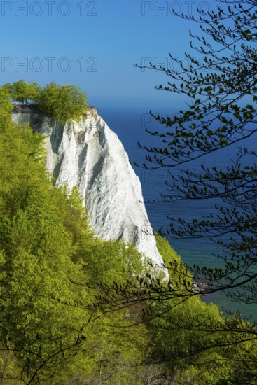View of chalk cliffs in Jasmund National Park on Rügen, Königsstuhl, Sassnitz, Rügen,