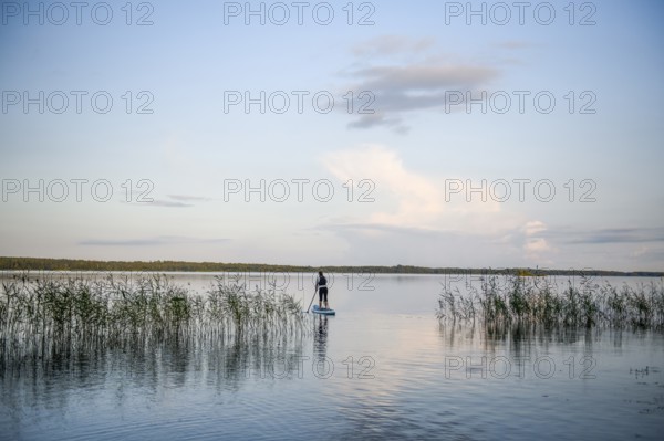 Person on a stand-up paddle board between reeds on a calm lake under clear sky with views, Asnen,