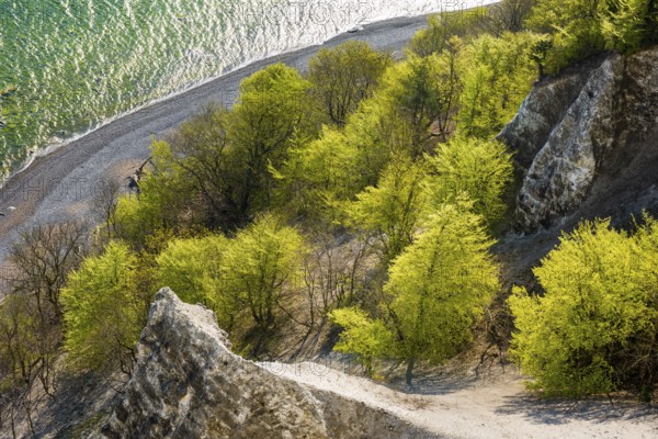 View of chalk cliffs in Jasmund National Park on Rügen, Sassnitz, Rügen, Mecklenburg-Western