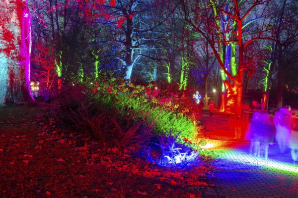 Winter lights in Luisenpark in Mannheim. Every year in January and early February, the park is