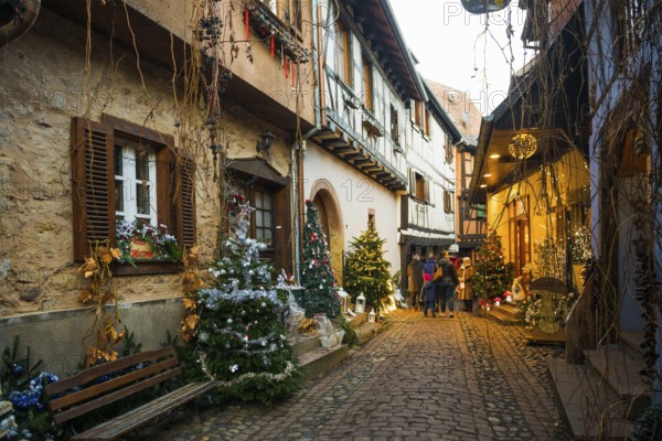Christmassy decorated houses and alley with half-timbered houses, Christmas market, Eguisheim,