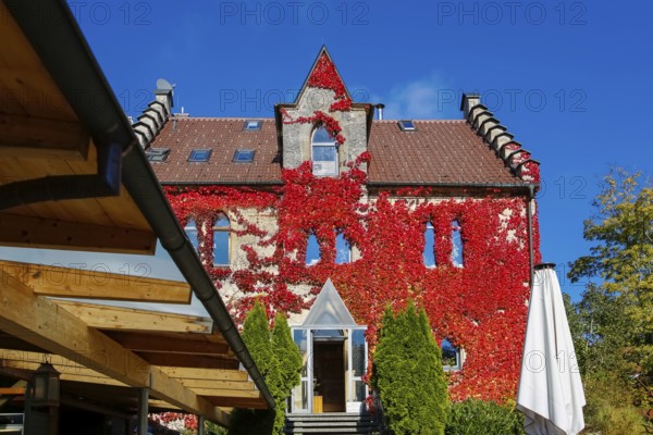 Restaurant Altes Forsthaus near Lichtenstein Castle, restaurant, restaurant, historic building,