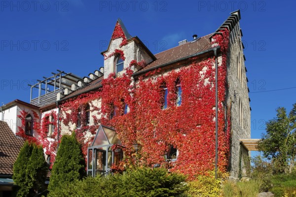 Restaurant Altes Forsthaus near Lichtenstein Castle, restaurant, dining restaurant, historic