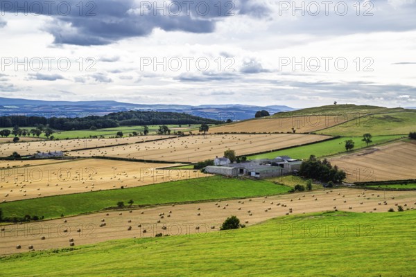 Scottish fields and farms, Southeast Scotland, UK