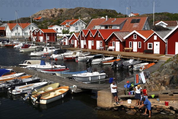 Red wooden houses on a lively harbour full of boats in idyllic surroundings, Klädesholmen, Västra