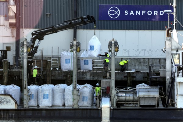 Industrial plant for processing green shell mussels in Havelock with workers at work, Havelock,