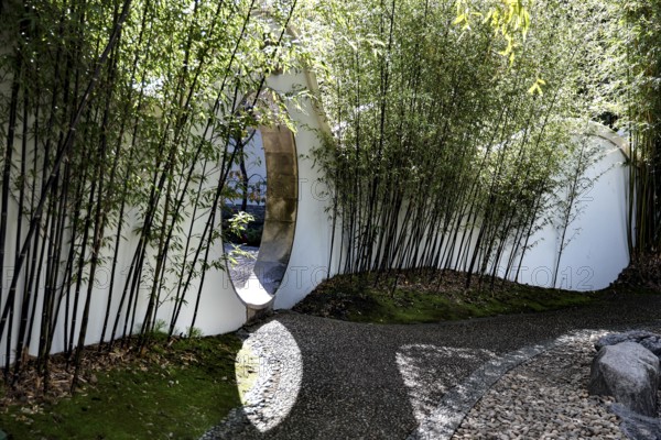Moon gate in a bamboo grove in the Chinese Friendship Garden in Sydney, Sydney, New South Wales,