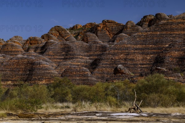 View of the characteristic rock formations of the Bungle Bungle in a dry riverbed, Purnululu