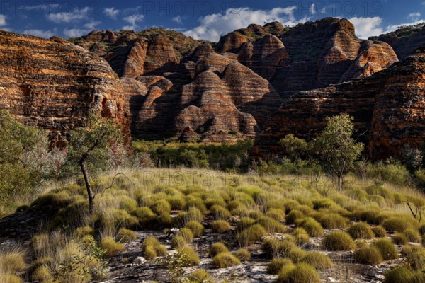 Dramatic rock formations surrounded by grass and bushes on the Piccaninny Lookout Trail, Purnululu