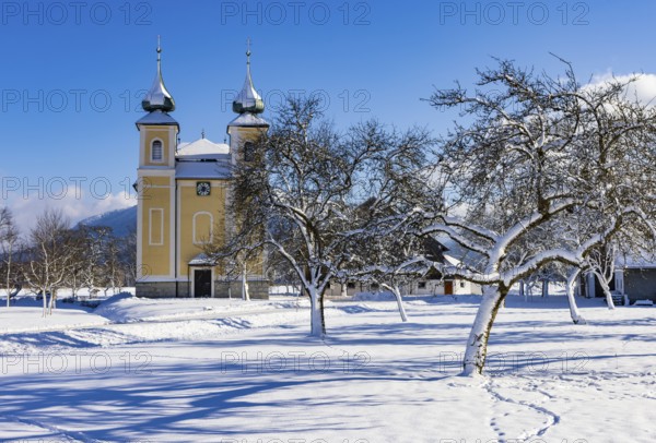 Snowy fruit trees with St. Lawrence Church in Sankt Lorenz bei Mondsee, Mondseeland, Salzkammergut,