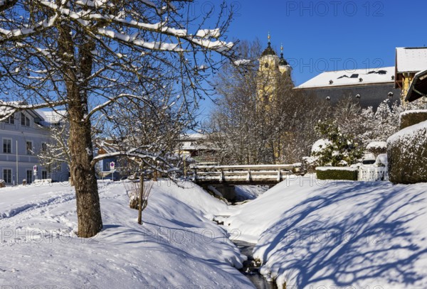 Snowy fruit trees with St. Michael Basilica, Mondsee, Mondseeland, Salzkammergut, Upper Austria,