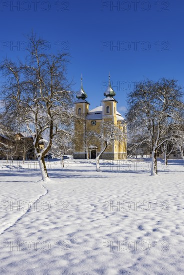 Snowy fruit trees with St. Lawrence Church in Sankt Lorenz bei Mondsee, Mondseeland, Salzkammergut,