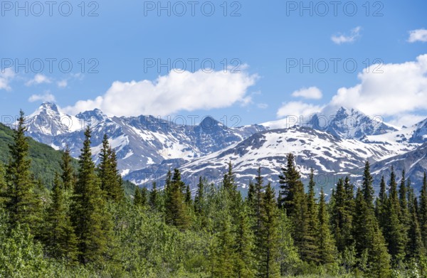 Mountain peak with snow and taiga, Alaska Range, Richardson Highway, Alaska, USA