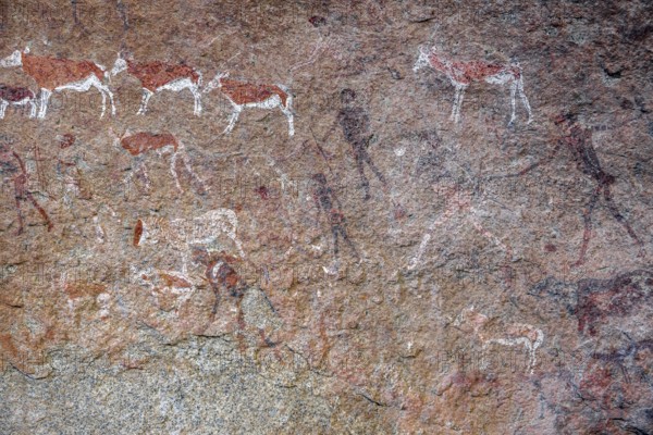 White Lady Rock Painting, White Lady Painting, Depiction of Hunters and Animals, Rock Paintings in