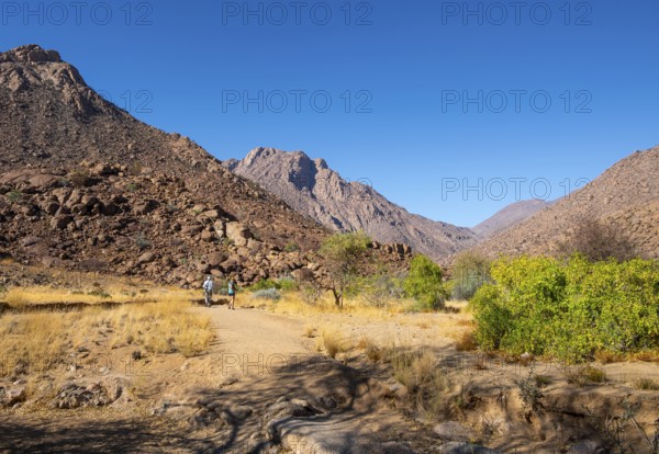 Hiking to White Lady, Dry Mountain Landscape, Tsisab Gorge, Brandberg, Erongo, Namibia