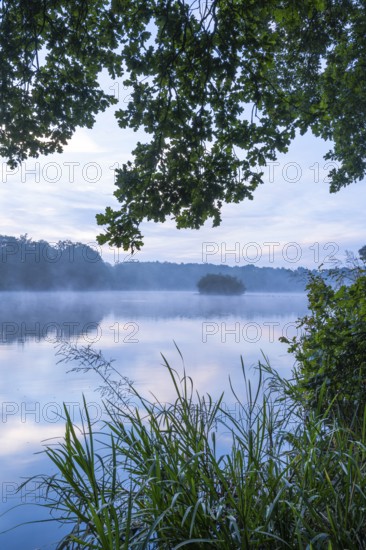 Daybreak with fog at blue hour in the Ahlhorner Fischteiche nature reserve of the Lower Saxony