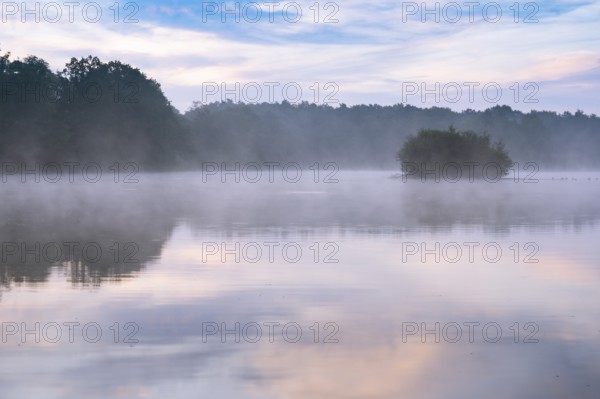 Daybreak with fog at blue hour in the Ahlhorner Fischteiche nature reserve of the Lower Saxony