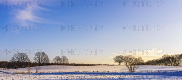 Winter landscape, fields and fields in Berlin Lübars, a village in Berlin Reinickendorf, Germany
