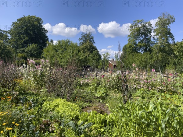 A path along the colorful cottage garden of the famous botanist and taxonomist Carl von Linne with