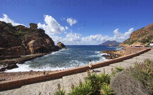 Marina de Porto with the Genoese Tower and the Bay of Porto, a UNESCO World Heritage Site, Ota,