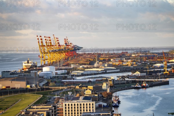 MSC and Eurogate container terminal in the seaport of Bremerhaven, Eurogate container terminal with