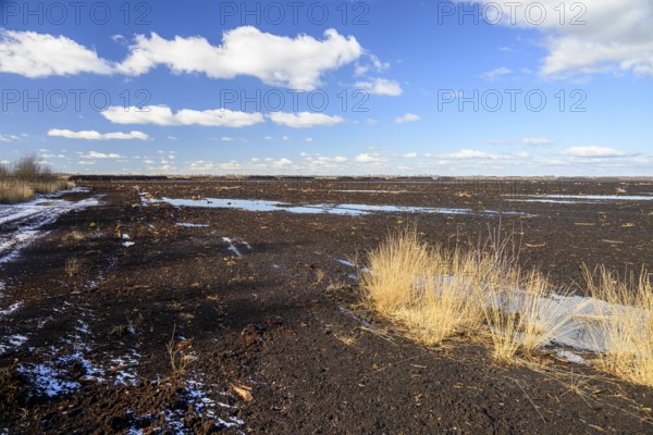 Peated hoochmoor black peat in cloudy skies with earthy colors and natural texture, Diepholzer