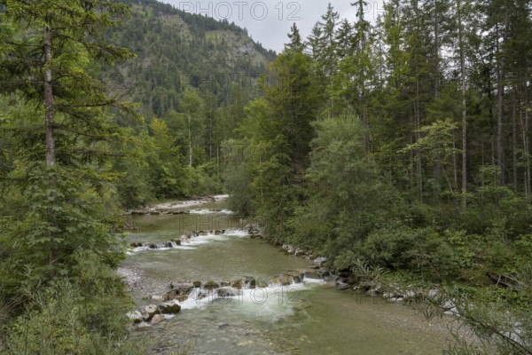 Weissach river, Wildbad Kreuth, Tegernseer Tal, Upper Bavaria, Bavaria, Germany