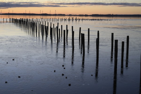 Row of posts over calm water at dusk, deep blue tones, wooden posts, boat dock posts run into the