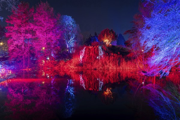 From November 29, 2025 to January 11, 2026, the palm garden and its partner World of Lights