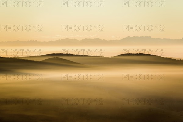 View from Belchen heading south of Wiesental and the Swiss Alps, morning atmosphere with fog in