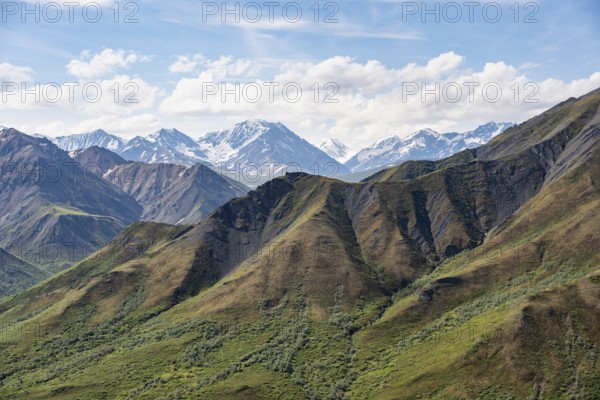 Tundra and mountainous landscape of the Alaska Range, Sable Pass, Denali National Park and