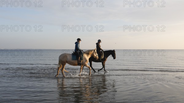 Two female riders ride their horses through the shallow water of the Baltic Sea at sunrise,