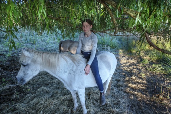 Young girl sitting on her white mare under a willow (Salix), Othenstorf, Mecklenburg-Western