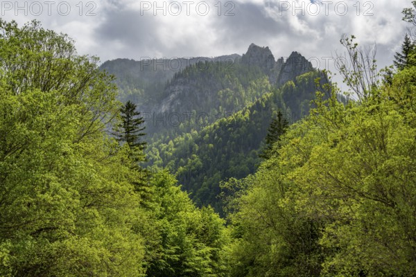 View into the mountains next to Lake Offensee on a rainy day in spring, Salzkammergut, Austria,