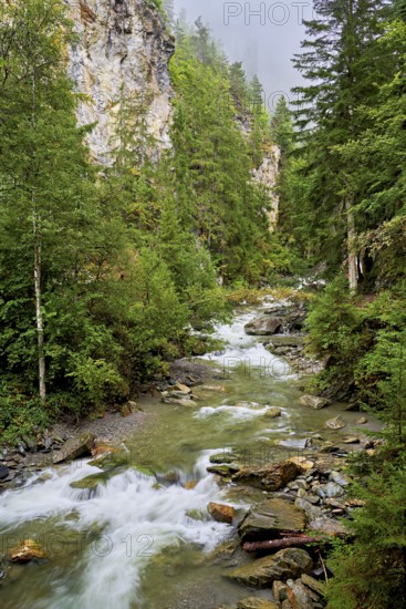 Diosaz mountain river in the gorge, Gorges de la Diosaz, Les Houches, Chamonix-Mont-Blanc,